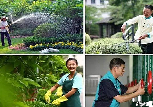 青青草原黄色下载视频物业管理